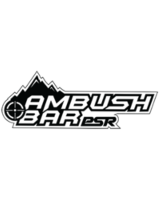 AMBUSH TRIPLE HOOP BULLBAR